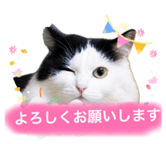 843304024