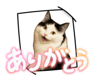 843304026