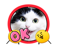 843304027