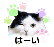 843304028