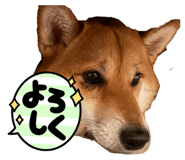 843304074