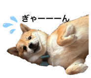 843304075