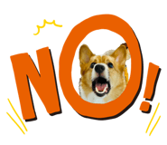 843304111