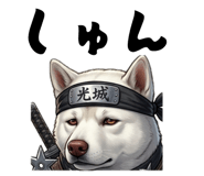 843304373