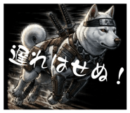 843304383