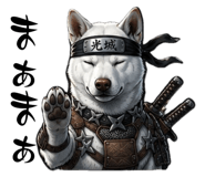 843304394