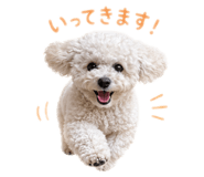 843320190