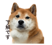 843320521