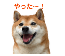 843320526