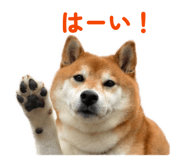 843320527