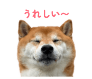 843320528