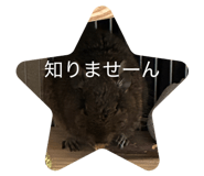 843320576