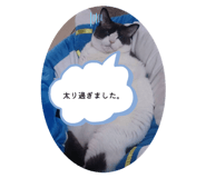 843320974