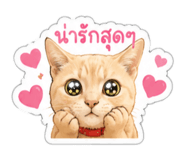 843333120