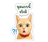 843333808