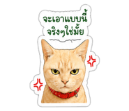 843333811