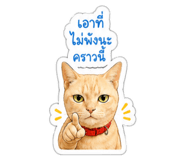 843333813