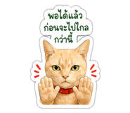 843333816