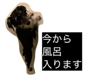 843334075