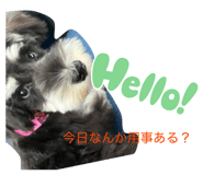 843334076