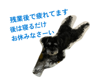 843334077