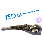843334080