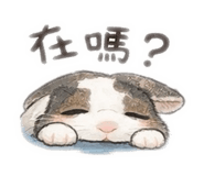 843334123