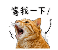 843334522