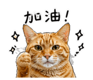 843334524