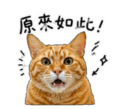 843334526