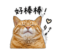 843334530