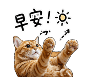 843334531