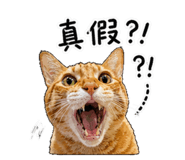 843334532