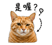 843334541