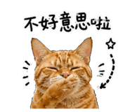 843334544
