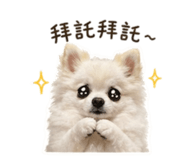 843334927