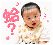 843334994