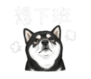 843335233