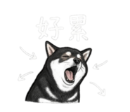 843335234