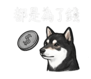843335236