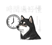843335238