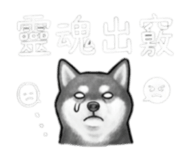 843335241