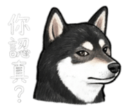 843335243