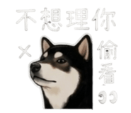 843335248