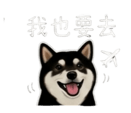 843335249
