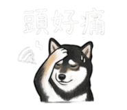 843335251
