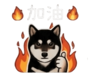 843335252