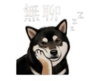 843335253