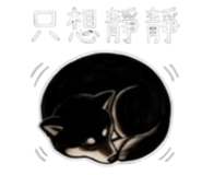 843335254