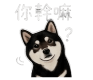 843335256